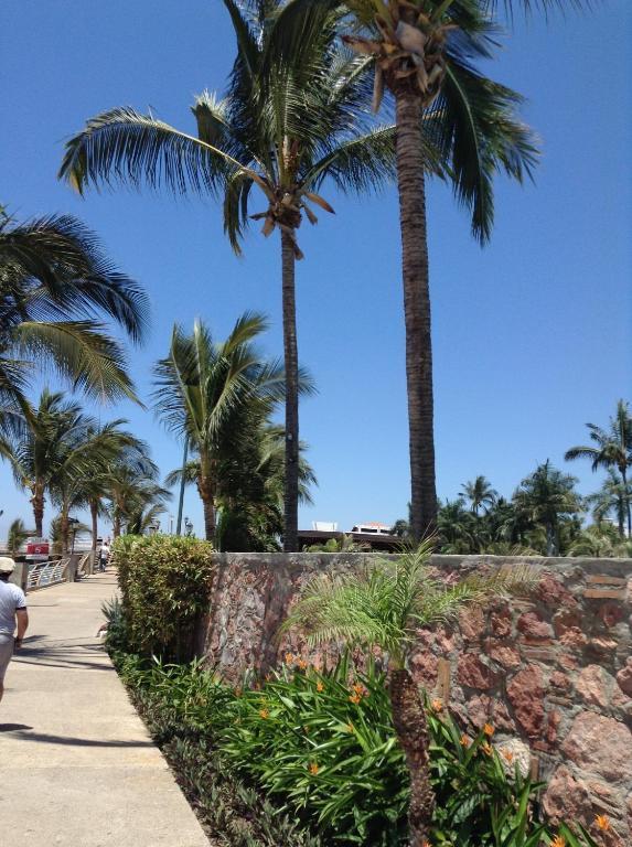 Molino De Agua Hotel Puerto Vallarta Eksteriør billede